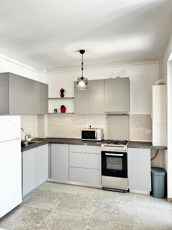 Apartment Mara 2 Temešvár Exteriér fotografie